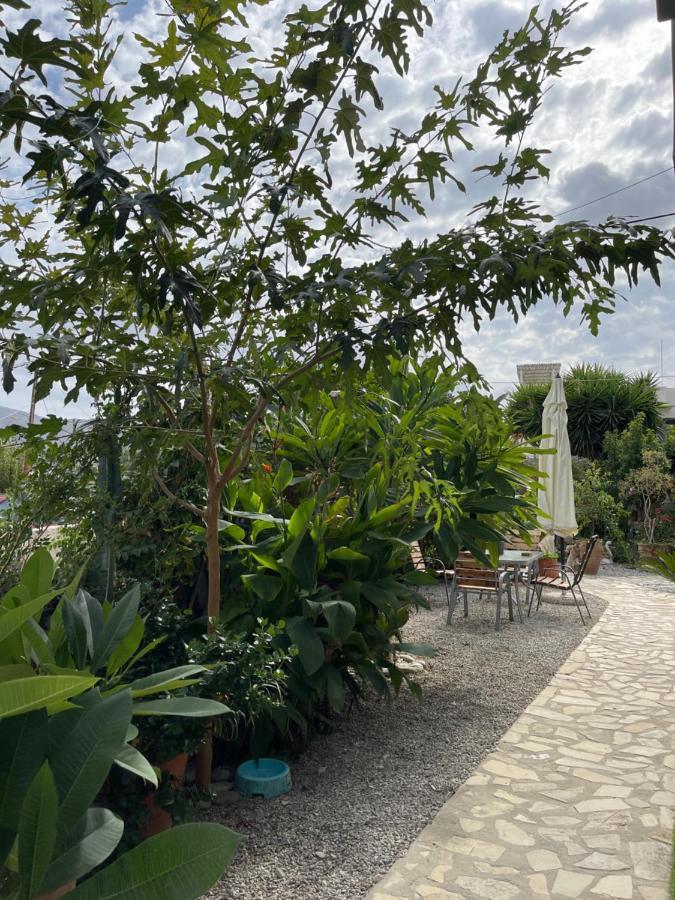 House Of Sunset 2 Sivas Apartment Luaran gambar